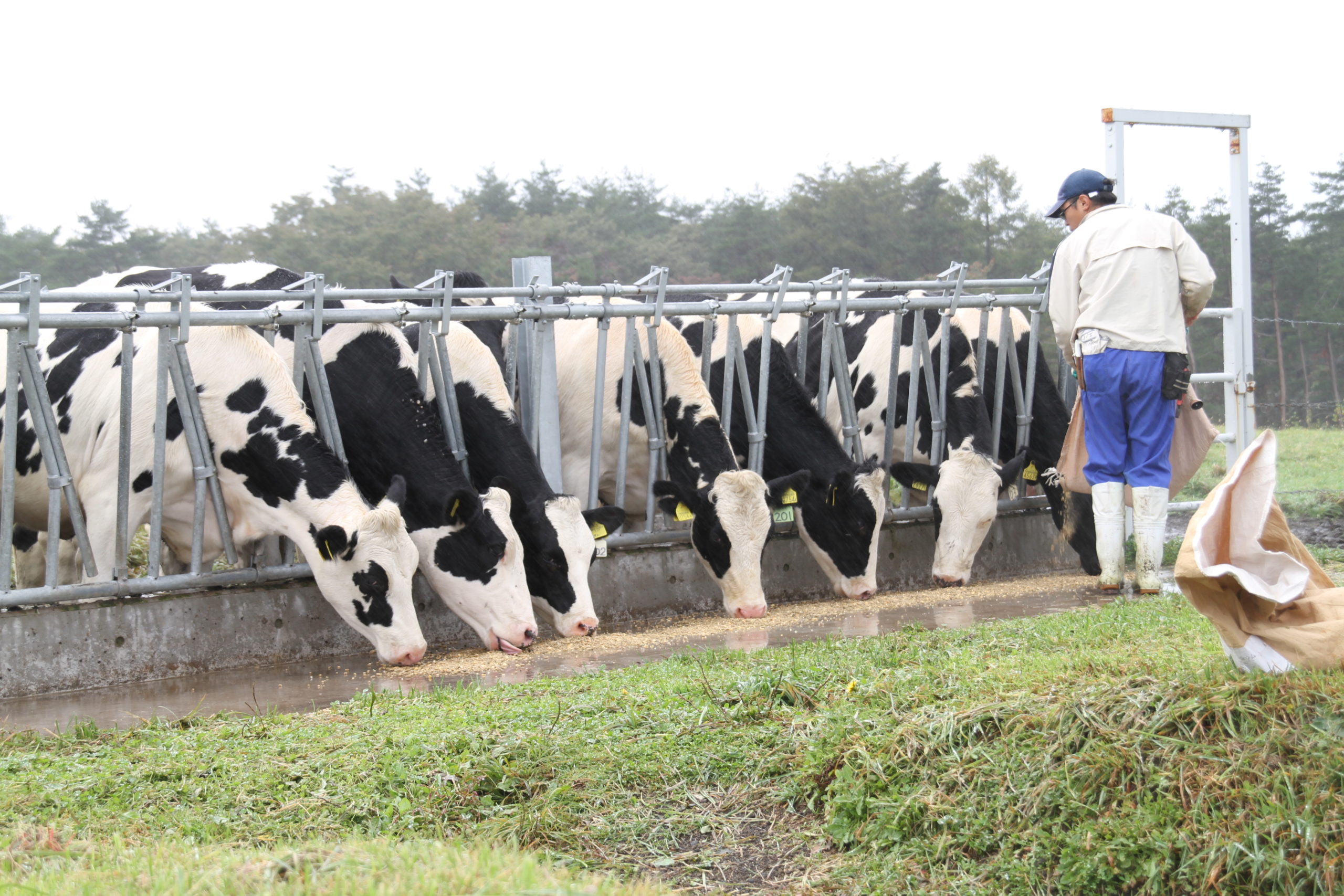 第1回 つなカンふるさと再発見企画「浅間牧場散策ツアー」ご参加ありがとうございました