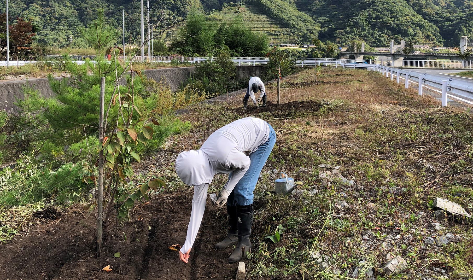 【川原畑地区桜植樹エリア周辺の花いっぱい運動】
