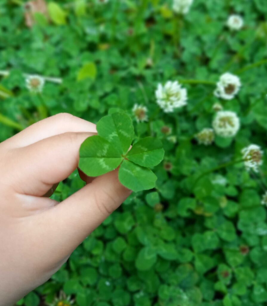 【ハートプロジェクトながのはら】が始まりました
