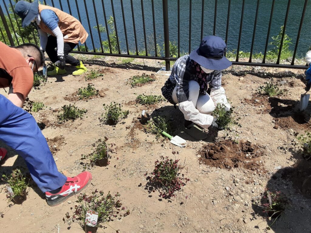 【長野原町花いっぱいプロジェクト】 始動！［次回作業日のお知らせ］