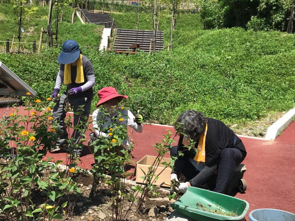 【長野原町花いっぱいプロジェクト】7月7日作業をしました。［次回のお知らせ］