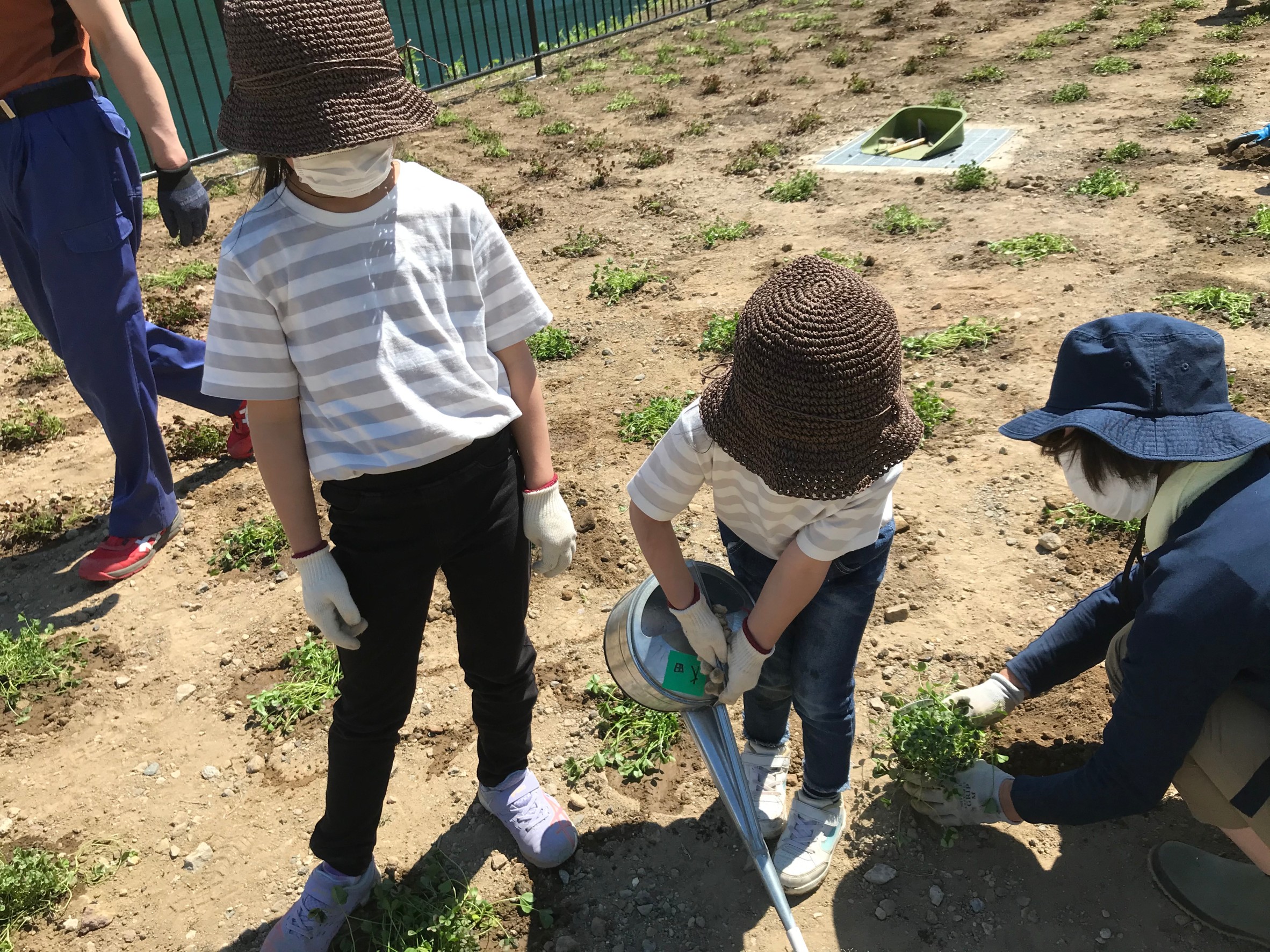 【長野原町花いっぱいプロジェクト】9/19の作業について