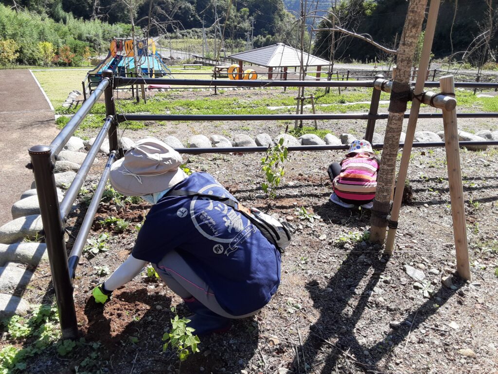 【長野原町花いっぱいプロジェクト】10月3日作業報告と次回のお知らせ