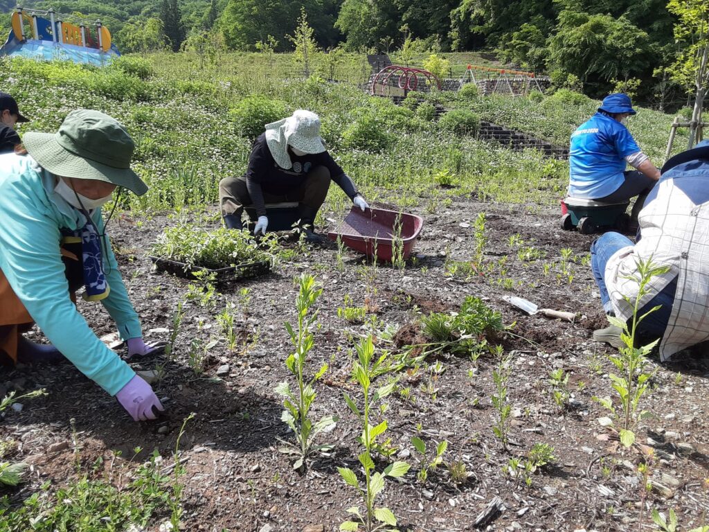 【長野原町花いっぱいプロジェクト】6月、7月の作業参加者募集！