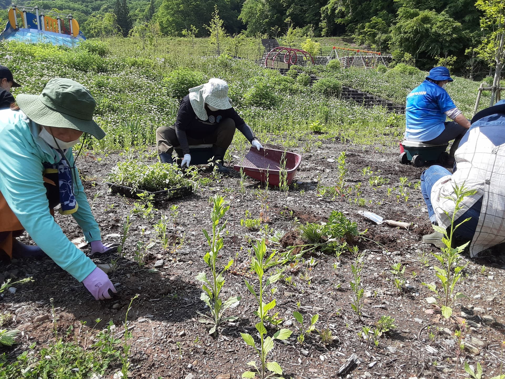 【長野原町花いっぱいプロジェクト】6月、7月の作業参加者募集！