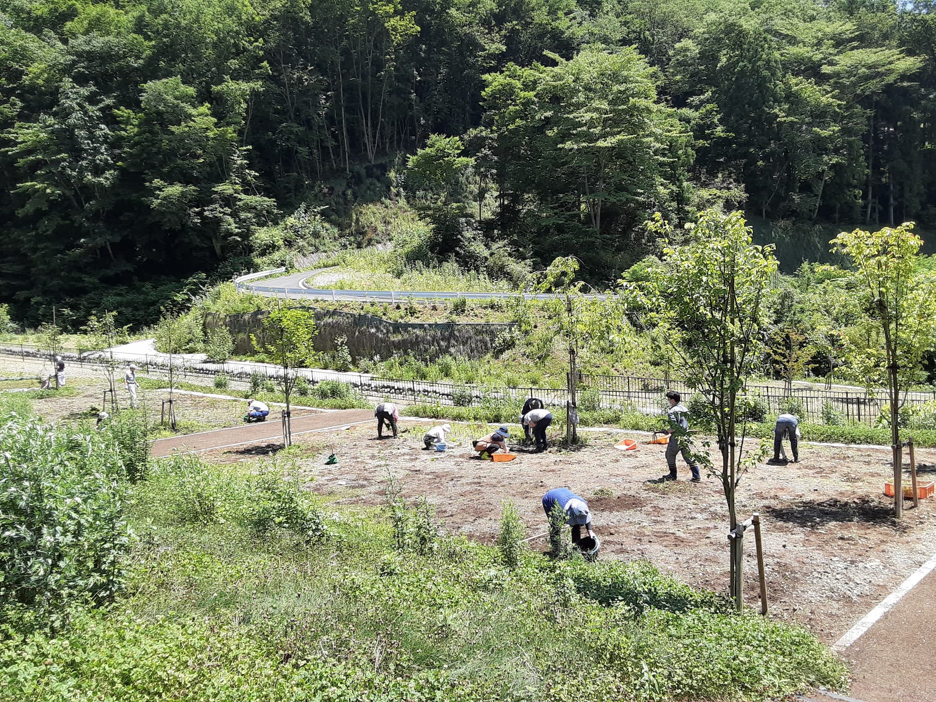 【長野原町花いっぱいプロジェクト】7/24作業中止のお知らせ