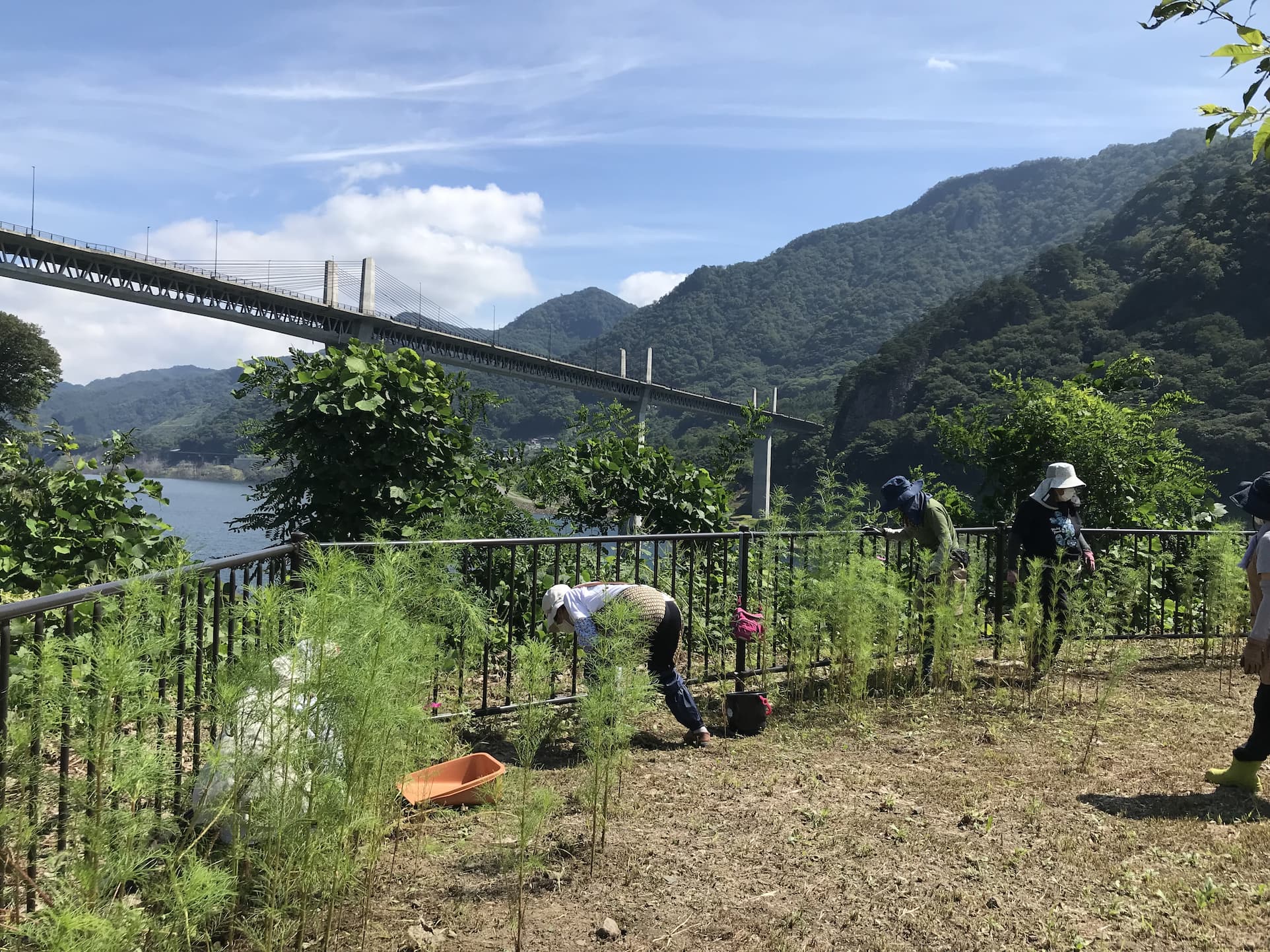 【長野原町花いっぱいプロジェクト】9月の作業を行いました。