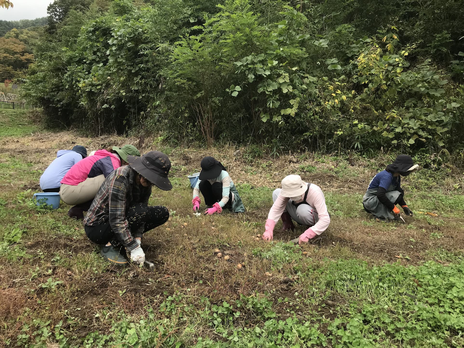 【長野原町花いっぱいプロジェクト】11月の参加者募集！