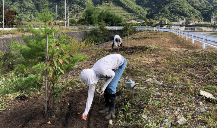YKBG’ｓによる川原畑地区桜植樹エリア周辺の花いっぱい運動