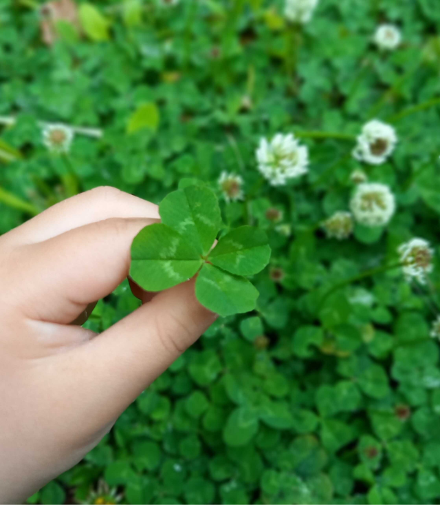 ハートプロジェクトながのはら