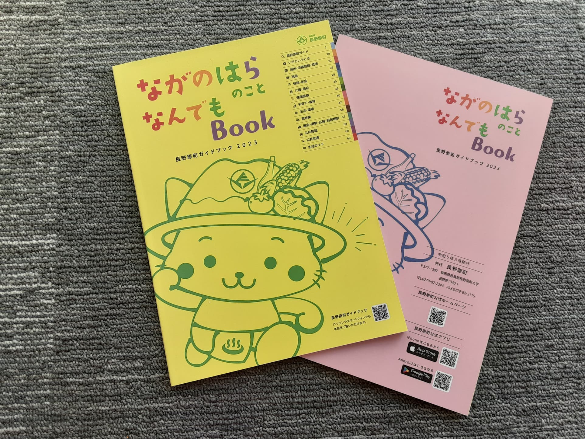 【つなカンミーティング】3/26報告・つなカンが協力したガイドブックができました！