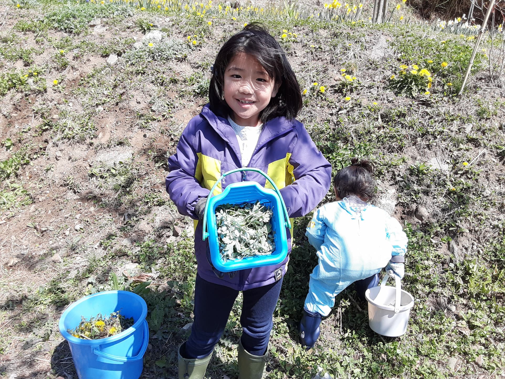 【長野原町花いっぱいプロジェクト】今年初めての作業をしました。