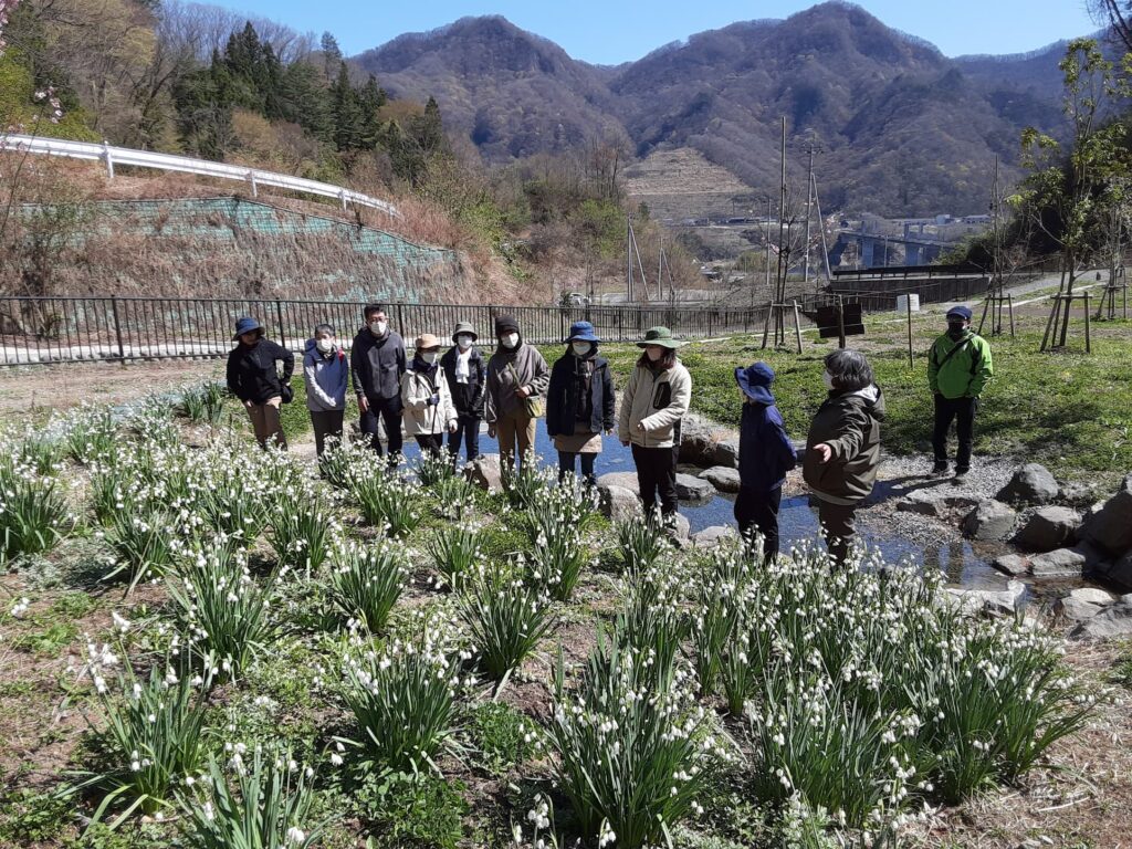【つなカンミーティング】温井沢桜公園の散策を行いました。