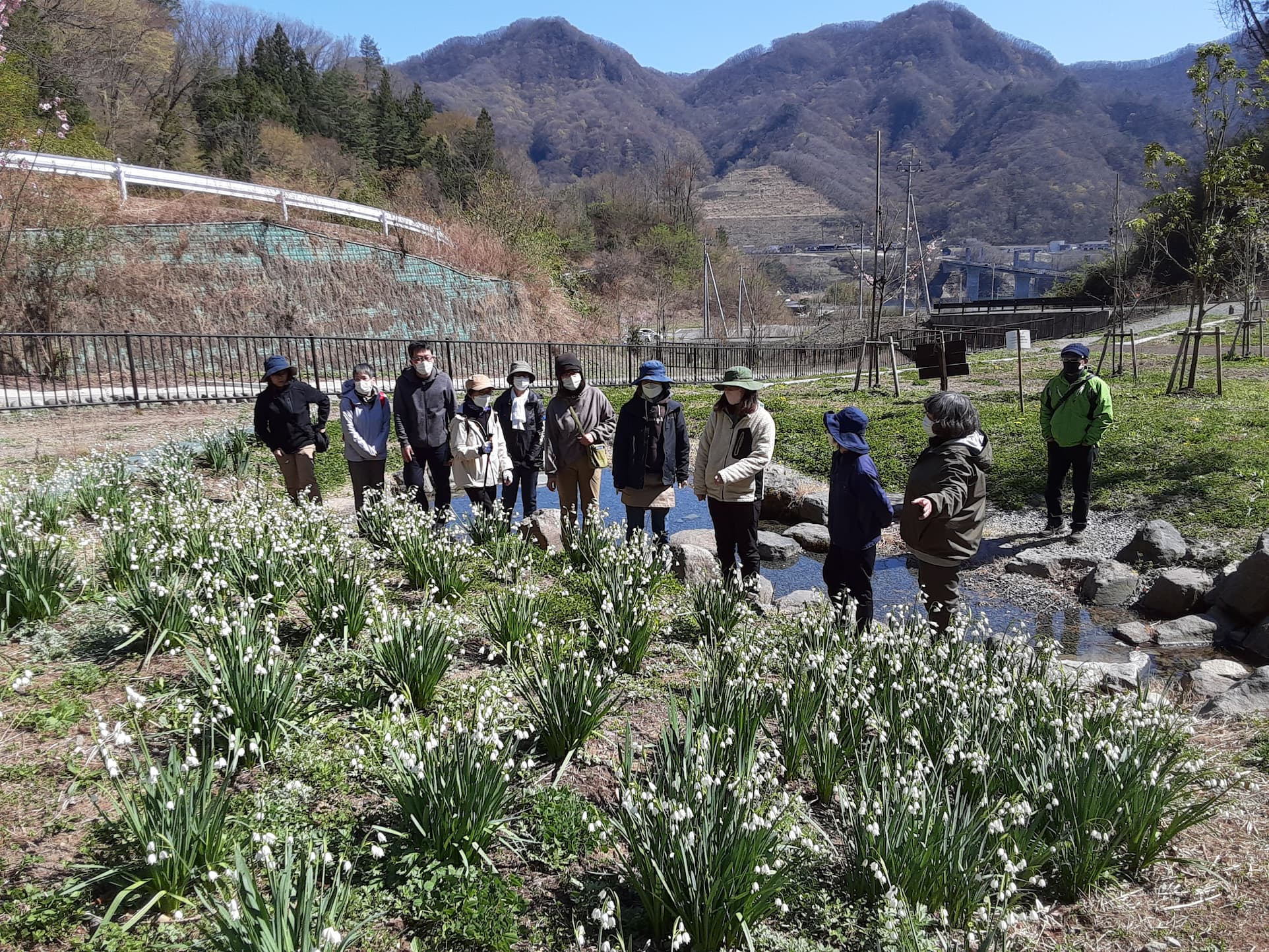 【つなカンミーティング】温井沢桜公園の散策を行いました。