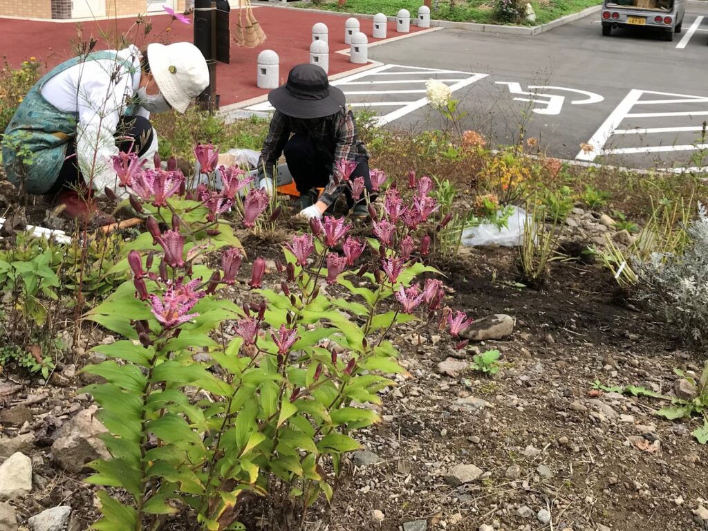 【長野原町花いっぱいプロジェクト】作業ボランティア募集！