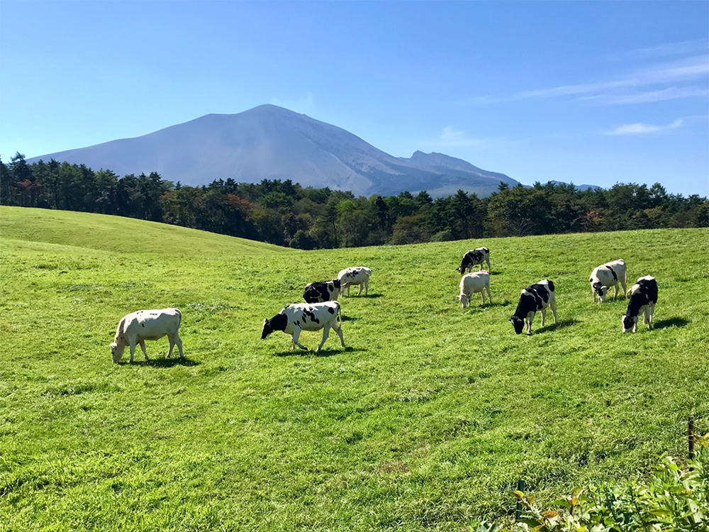 長野原町内のツアー紹介